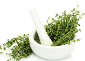Descoperire importantă în lupta cu cancerul. Două plante medicinale ar avea efect în suprimarea tumorii